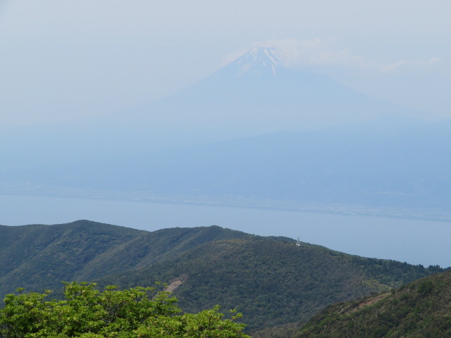 達磨山山頂２