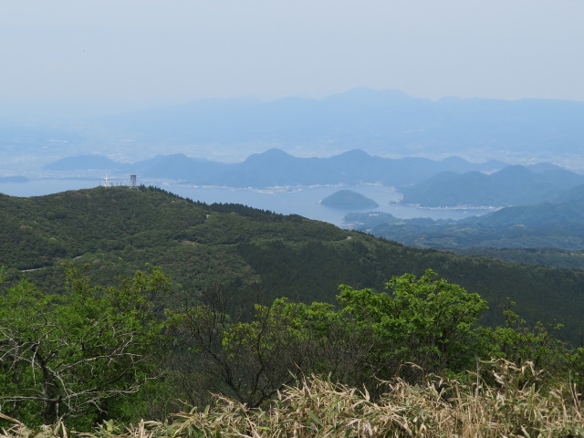 達磨山山頂３