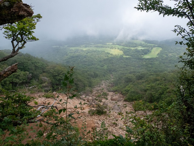 登山道から