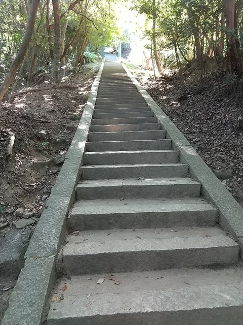 登山道２