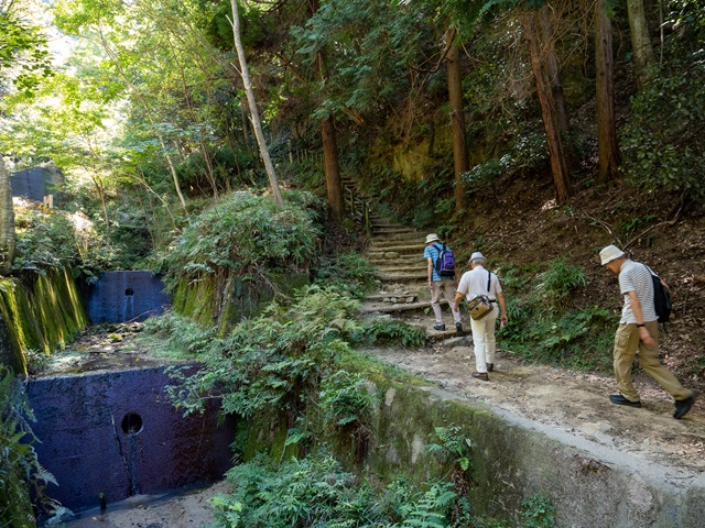 登山道