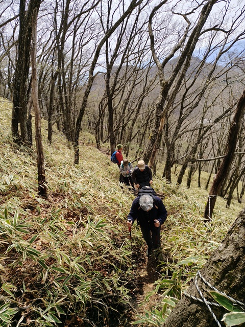 登山道２
