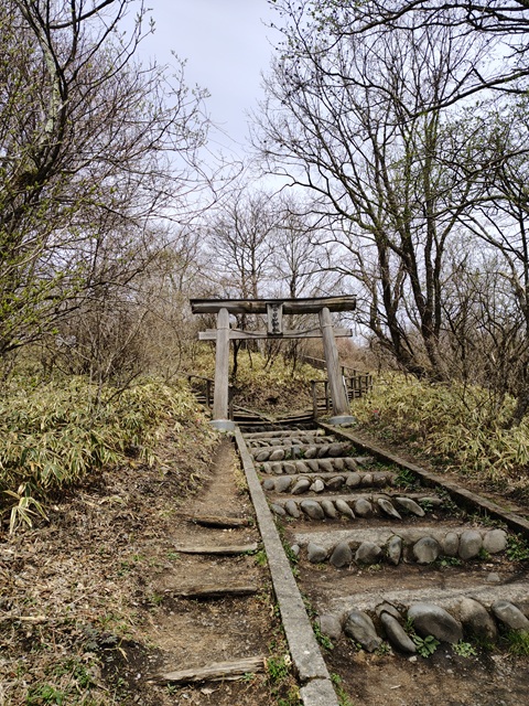 富士山神社鳥居