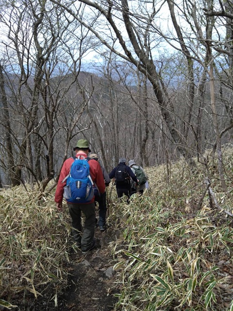 登山道３