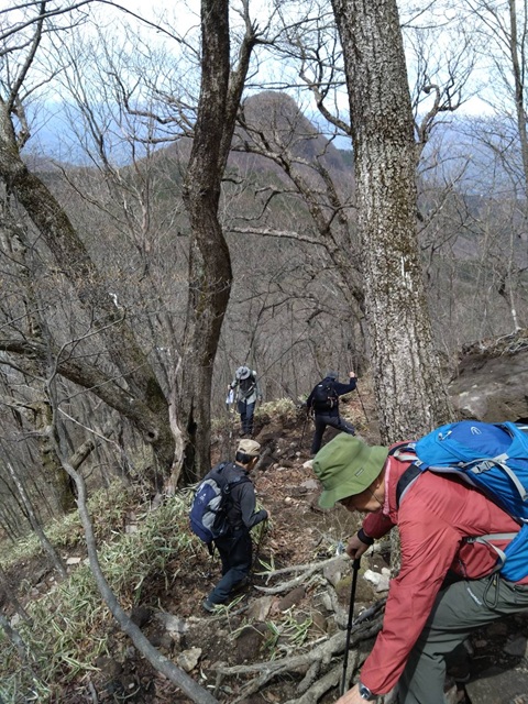登山道４
