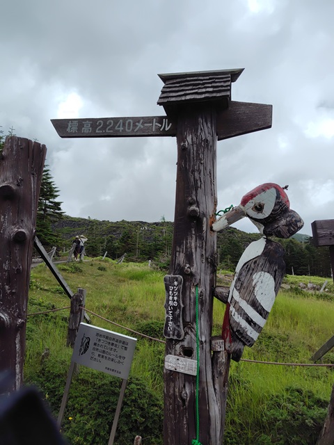 ロープウェイ山頂駅２
