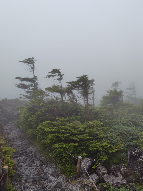 坪庭１