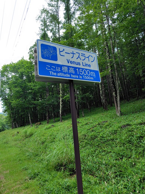 ビーナスライン
