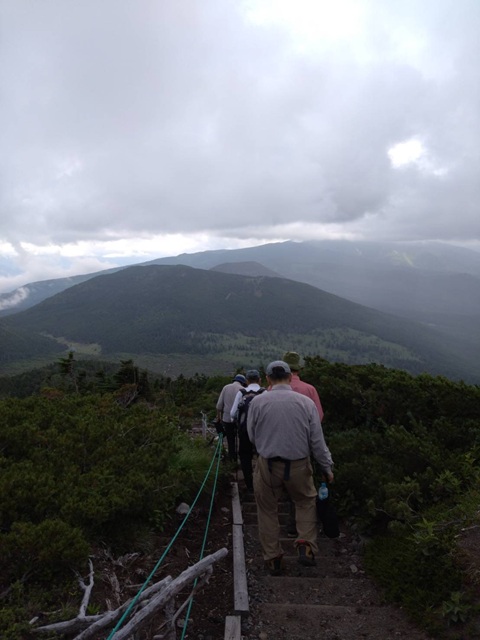 登山道３